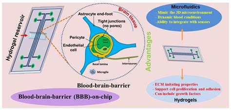 Pharmaceutics Free Full Text Advances In Hydrogel Based