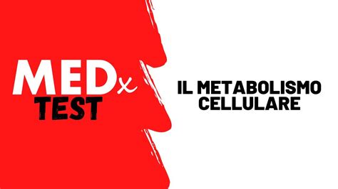 Il Metabolismo Cellulare Medxtest Youtube