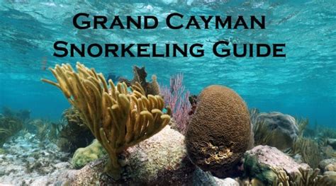 15 Grand Cayman Snorkeling Beaches Snorkel Around The World Grand