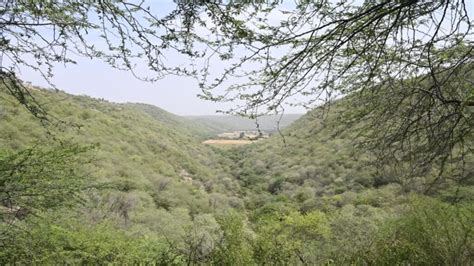 Haryana Must Learn To Value The Aravallis What After College News