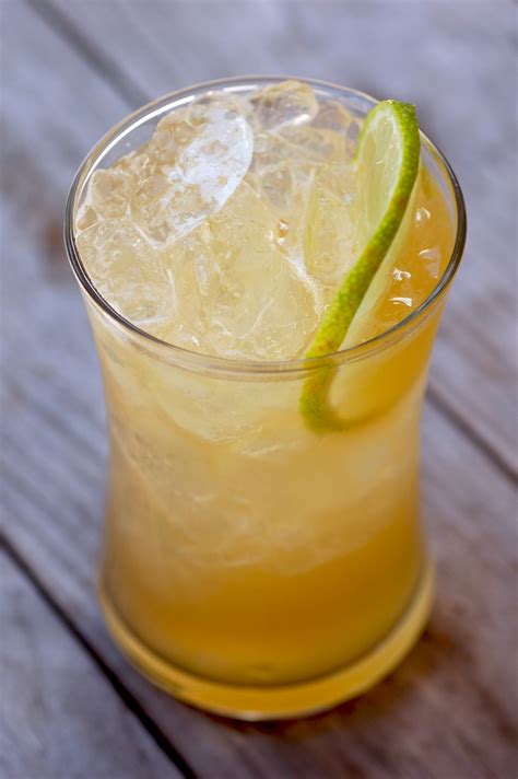 10 Of The Best Ginger Beer Cocktail Drinks With Recipes Only Foods