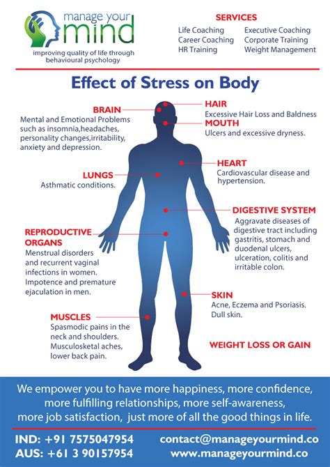 Effect Of Stress On Body Infographic Mym Private And Confidential