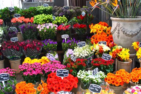 This site is using cookies under cookie policy. Flowers market, Amsterdam (The Netherlands) - SUGAR LANE