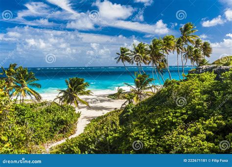 Bottom Bay Beach In Barbados Stock Image Image Of Palms Tourism 222671181
