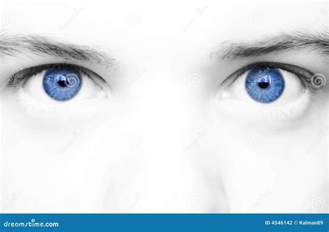 Big Blue Eyes Stock Photography Image 4546142