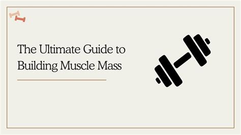 The Ultimate Guide To Building Muscle Mass By Lifeup Corporate