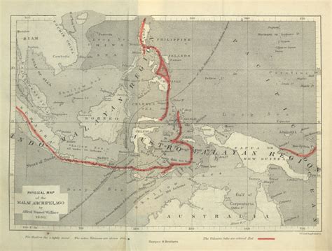 The Races Of Man In The Malay Archipelago Zine Kawah Buku