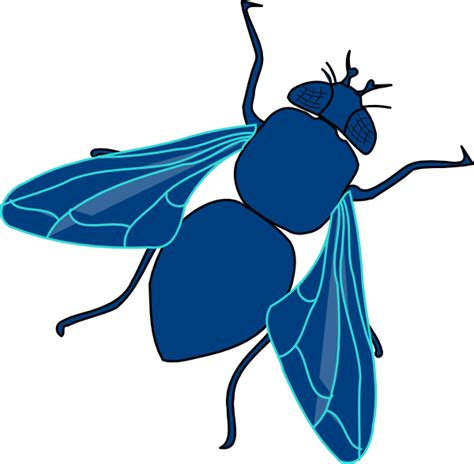 Fly Clipart And Fly Clip Art Images Hdclipartall
