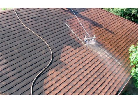 How To Prevent Mold Growth In Roof Decking Tips For Installation And