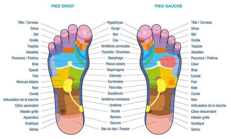 La Magie De La Massage Réflexologie Plantaire Bien être Et Détente Pour Vos Pieds Bienvenue