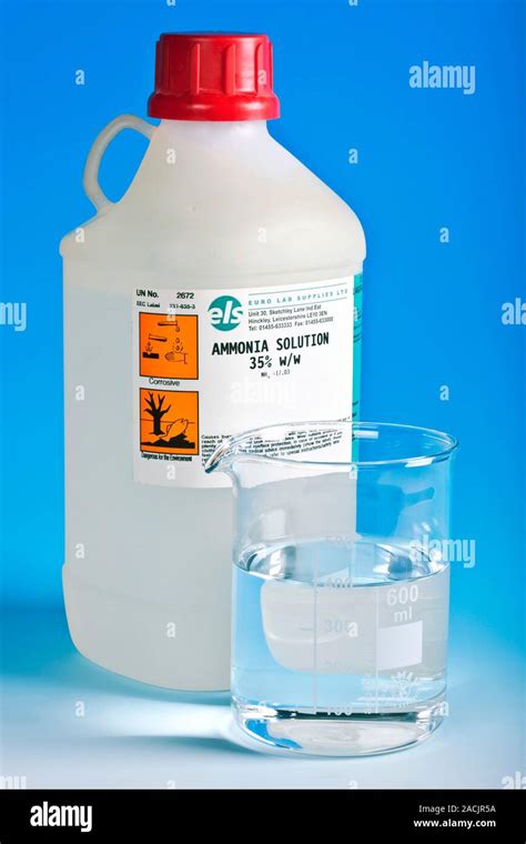 Solución De Amoníaco Botella De Laboratorio Y Vaso De Precipitado De La Solución De Amoníaco