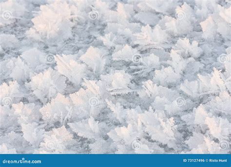 Large Snow Crystals Closeup Stock Photo Image Of Temperature Shape