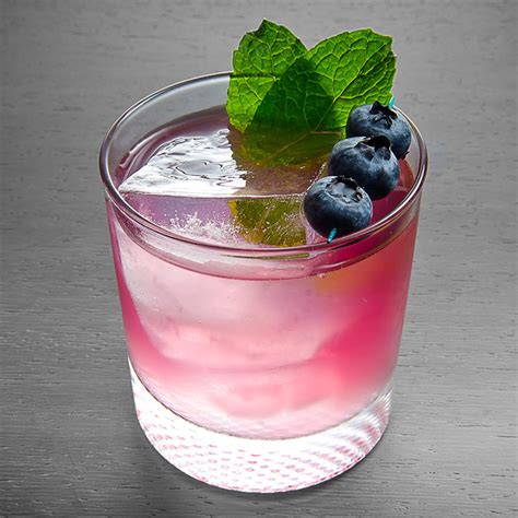 20 Best Blueberry Vodka Drinks Best Recipes Ever