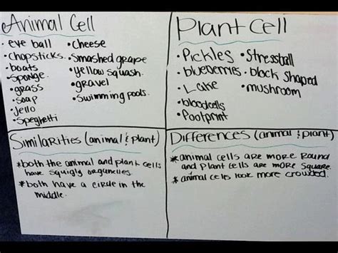 Maybe you would like to learn more about one of these? Thee Plant vs. Animal Whiteboards on Vimeo