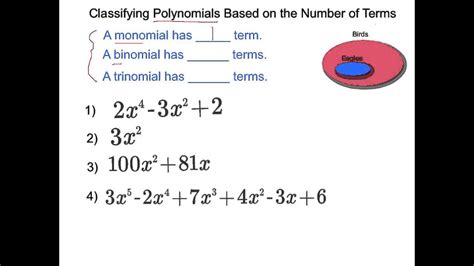 Classifying Polynomials By The Number Of Terms Youtube
