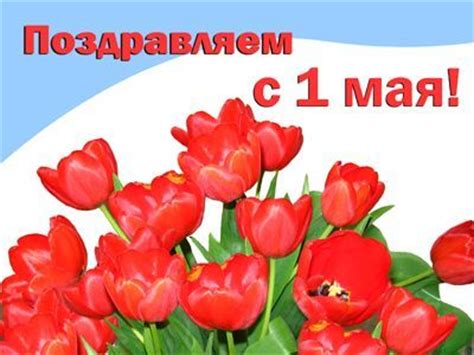 Красивые поздравления с 1 мая. Поздравления с 1 мая прикольные фото, стихи