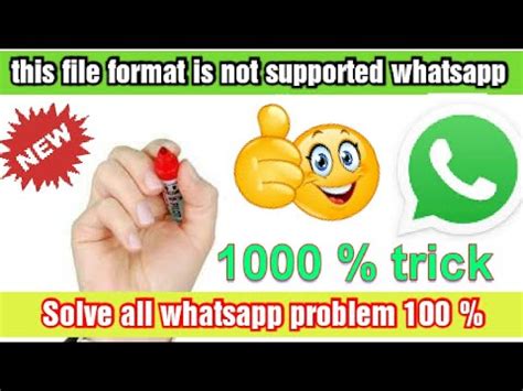 Please be as specific as possible. this file format is not supported whatsapp video. this ...