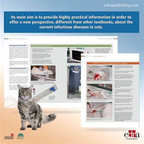 Infectious Diseases In Cats Practical Guide Veterinary Book