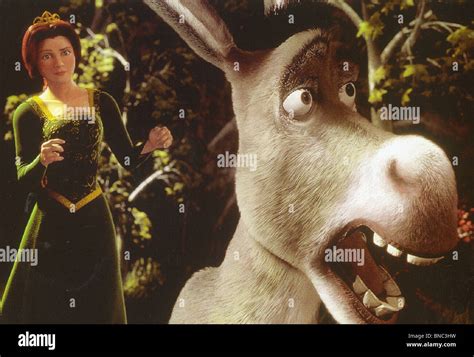 Shrek 2001 Dreamworks Animation Con La Princesa Fiona Expresadas Por