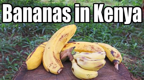 Comparing Rare Banana Varieties In Kenya Weird Fruit Explorer Youtube