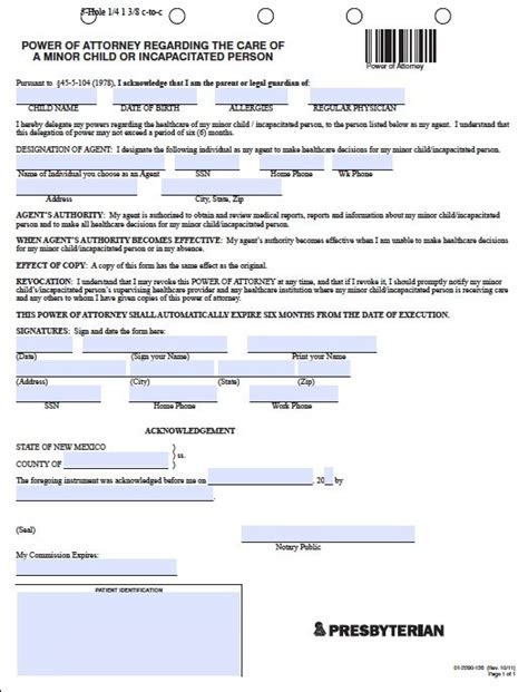 Free Minor Child Power Of Attorney New Mexico Form Pdf Template