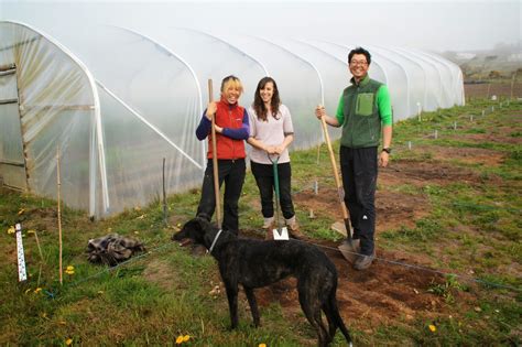 Bosavern Community Farm New Polytunnel Foundations