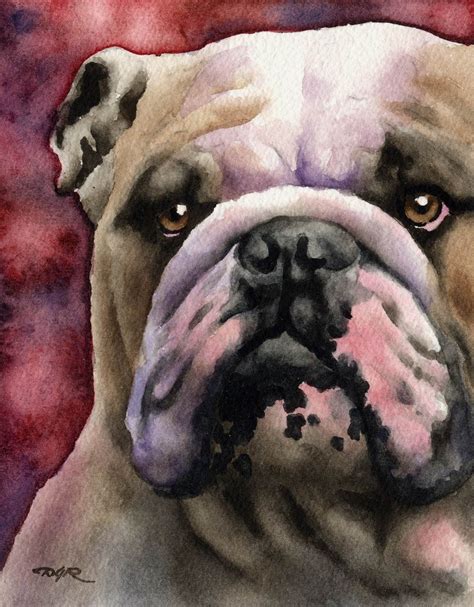 Bulldog Art Print By Watercolor Artist Dj Rogers Etsy Bulldog Art