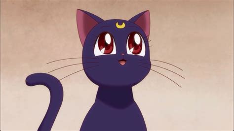 Luna Sailor Moon Cat Png