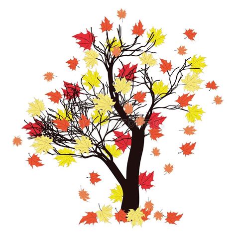 Autumn Maple Tree With Falling Leaves Stock Vector Illustration Of