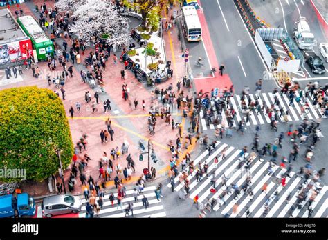 Shibuya Crossing Crowds At Intersection Many Pedestrians Cross Zebra