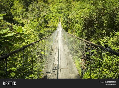Jungle Bridge Image And Photo Free Trial Bigstock