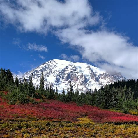 Maybe you would like to learn more about one of these? Mount Rainier Climbing