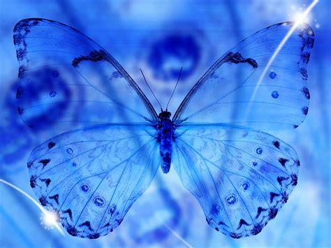 Free Download Wallpaper Blue Butterfly Art Wallpapers 1024x768 For