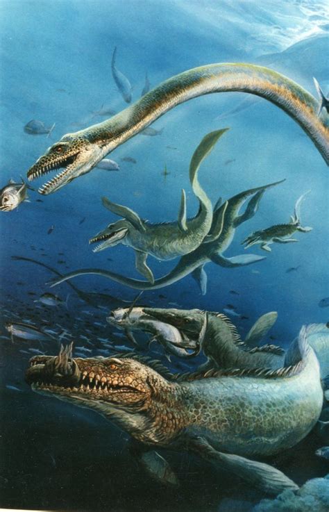 Les 156 Meilleures Images Du Tableau Prehistoric Sea Life Sur Pinterest