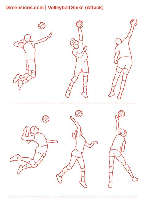 Volleyball Spike Attack Volleyball Drawing Sports Drawings Volleyball