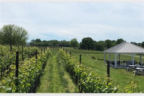 The 10 Best Wineries In Northern Virginia Tasting Rooms Snacks And