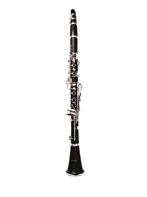 Instrument Clarinet Ubicaciondepersonascdmxgobmx