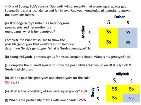 This cartoon has been received as being one of the most popular animated television programs behind the simpsons. Punnett Square Practice #3 Spongebob Squarepants / Ppt ...