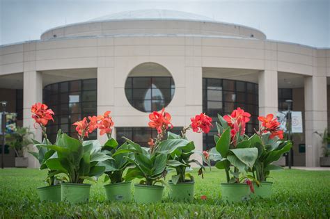 Is valencia college right for you? Valencia College on Twitter: "Next week, Valencia College joins @citybeautiful and @OrangeCoFL ...