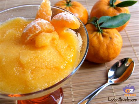 Fresco, saporito e gustoso, il gelato. Sorbetto al mandarino | Le ricette del cuore