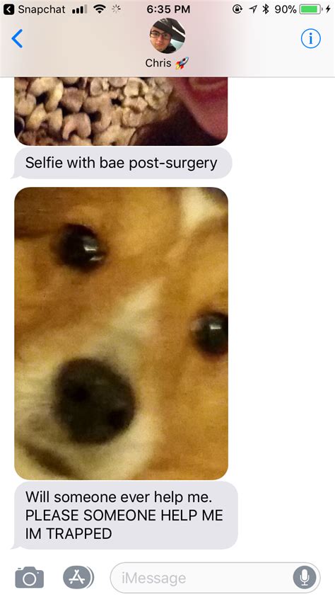 Check spelling or type a new query. Pin by Colleen Campbell on memes | Post surgery, Memes, Imessage