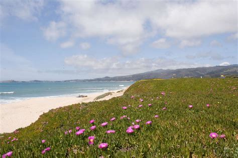 We did not find results for: Francis Beach Campground, Half Moon Bay, CA: 6 Hipcamper ...