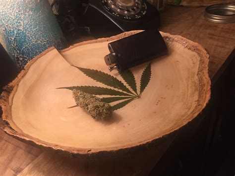 We did not find results for: Pin on Cannabis