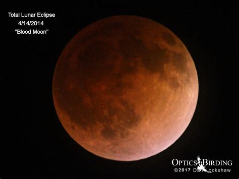 A supermoon (when the moon lines up closer than normal to our planet and appears to. Blood Moon in Southern California - Optics4Birding Nature Blog