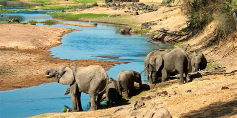 Tourist Attractions In Ruaha National Park Ruaha National Park Tanzania