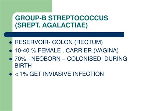 Ppt Streptococci Powerpoint Presentation Free Download Id 2969210