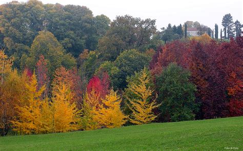 Autunno natura paesaggio alberi umore autunnale stato d'animo foglie colori d'autunnali fall foliage. Sfondi per Desktop - Paesaggi Autunnali Sfondo 016