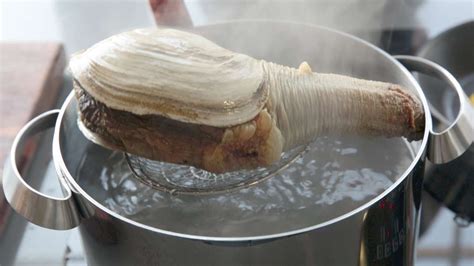 Cleaning Geoduck Recipe Chefsteps