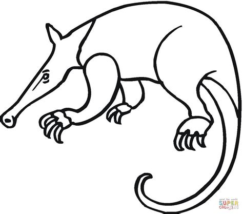 Make a coloring book with giant anteater for one click. Anteater 16 coloring page | Free Printable Coloring Pages