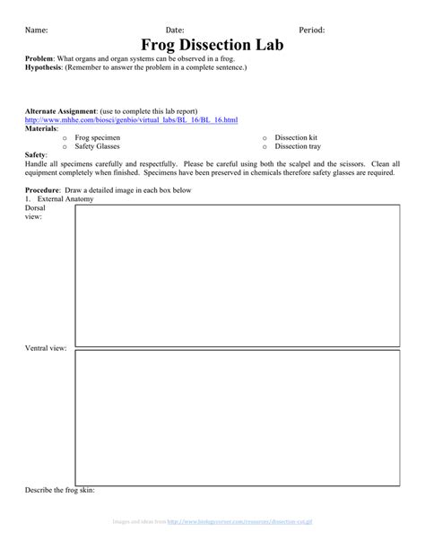 Virtual Frog Dissection Lab Worksheet Onthewebpsawe